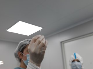 Такие микрокапилляры ученые используют для выполнения манипуляций с яйцеклетками. Фото: Елена Либрик / «Научная Россия»