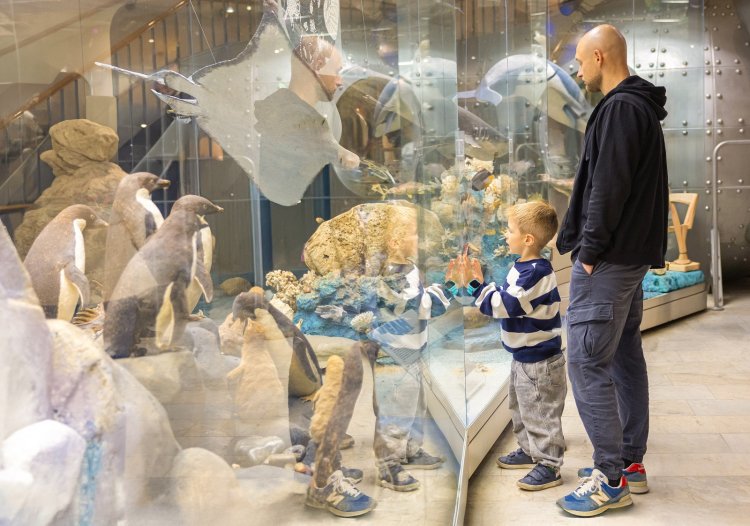 Фотоматериалы предоставлены Дарвиновским музеем (www.darwinmuseum.ru)