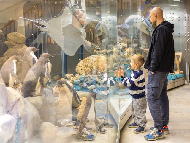 Фотоматериалы предоставлены Дарвиновским музеем (www.darwinmuseum.ru)