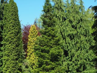 Изображение: Фотобанк Freepik