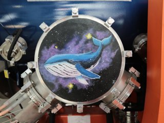 70 лет ОИЯИ: коллайдер NICA и международное партнерство. Фото: Ольга Мерзлякова / Научная Россия