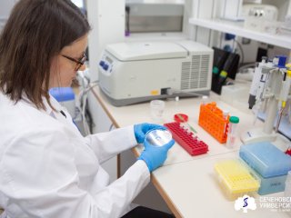 Гидрогелевую систему для быстрого заживления ожогов представили в Сеченовском Университете. Фото: пресс-служба Сеченовского Университета