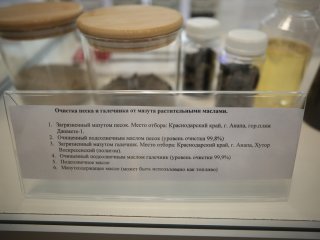 Фото: Ольга Мерзлякова / «Научная Россия»