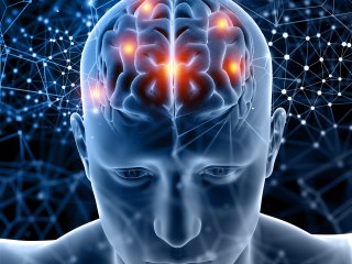 Почему при психических расстройствах мозг теряет гибкость? Фото: kjpargeter / Magnific.com