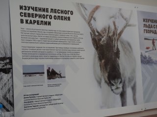 Третья международная научно-практическая конференция «Региональное сотрудничество БРИКС: актуальные проблемы экологии и природопользования». Фото: Анастасия Жукова / «Научная Россия»