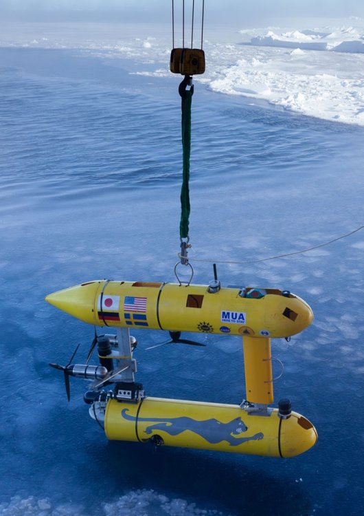 Льда в Антарктике больше, чем считалось, сообщает робот