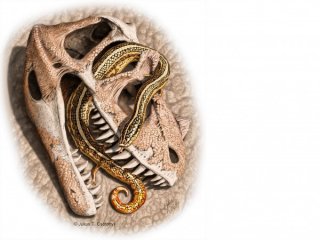 Найдены останки древнейших змей