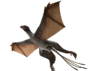 Птицы-динозавры имели крылья, как у летучих мышей