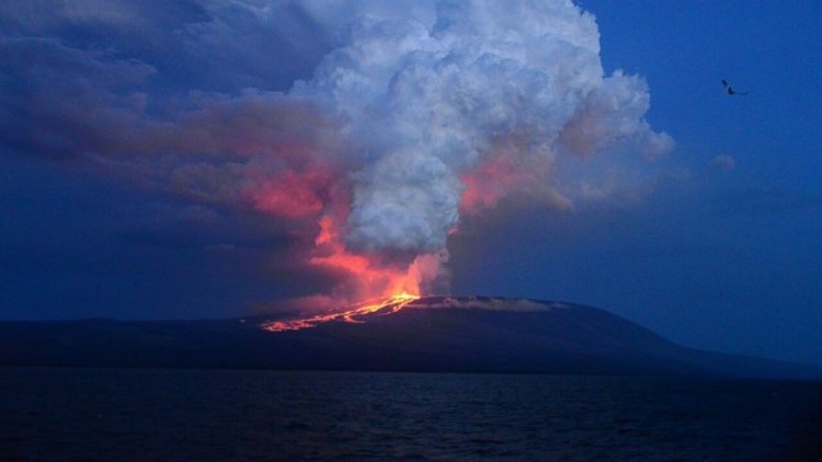 Извержение вулкана на Галапагосах: угроза игуанам и потрясающие снимки
