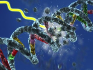 Ученые из МГУ открыли новый механизм починки ДНК