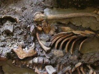Найден четвертый предок европейцев