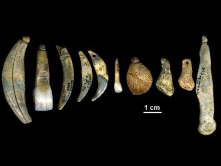 Ученые доказали, неандертальцы сами делали украшения