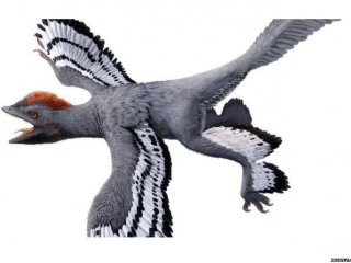 Лучшая реконструкция внешнего вида динозавра