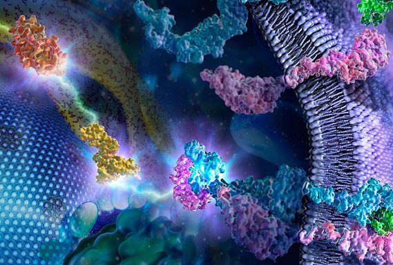 Исследователи выделили сотни мутаций в некодирующей ДНК, влияющих на развитие рака