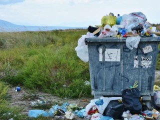 Ученые США разработали биоматериал, который сможет заменить пластик