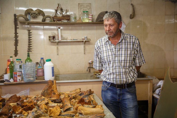 В крымской пещере обнаружено логово древних гиен