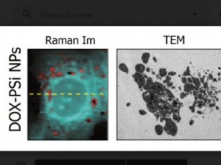 Изображение: Любовь Осминкина/МГУ