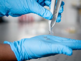 Новые тонкие и гибкие сенсорные экраны можно печатать как газеты
