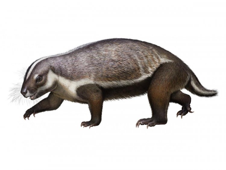 Ученые описали «сумасшедшего зверя», жившего в эру динозавров