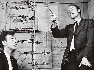 68 лет назад была предложена двуспиральная модель ДНК