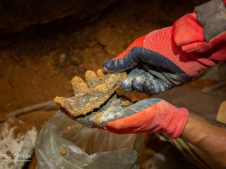 Учёные нашли полностью сохранившийся череп гигантской гиены в пещере Таврида в пещера Таврида