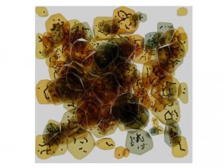 Ученые УрФУ создали компьютерную модель магнитных наногелей