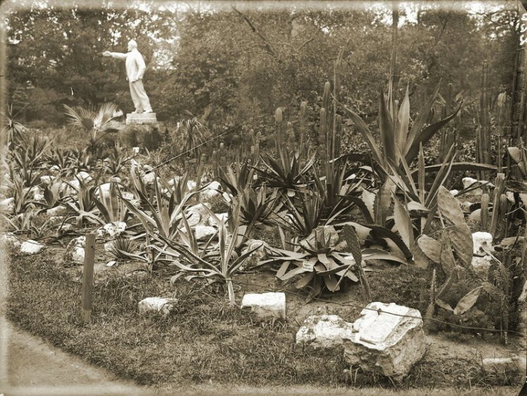 Аптекарский огород в 1930-е