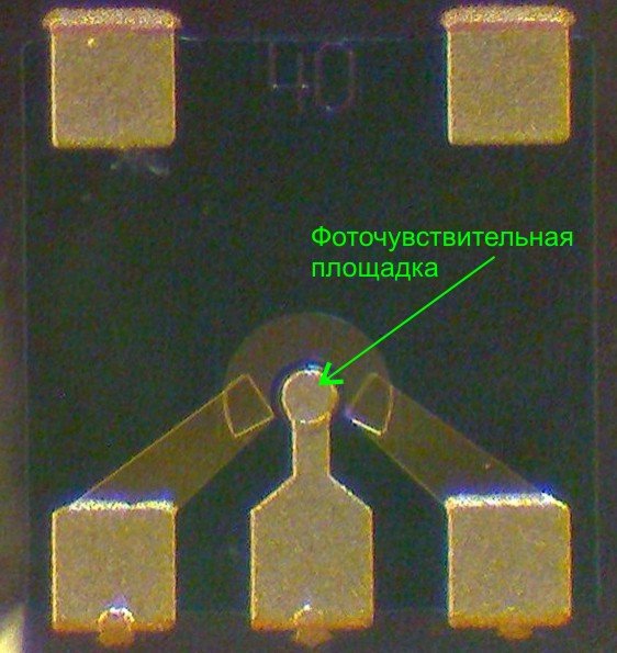 Фотодиод и золотые электроды (контакты)