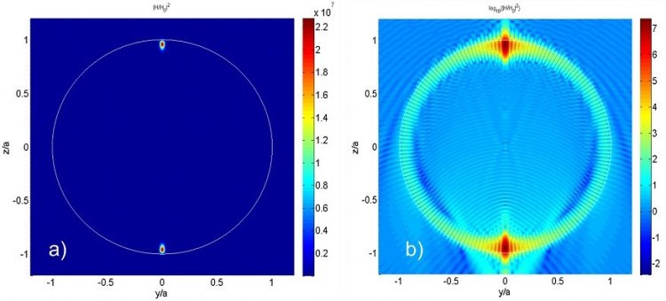 Распределение интенсивности магнитного поля в капле воды в условиях суперрезонанса. Линейная (а) и логарифмическая (б) шкала