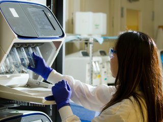Изучение генов для лечения глаукомы. Источник: National Cancer Institute / Фотобанк Unsplash 