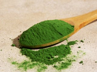 Порошок из водорослей. Фото: freepik / фотобанк Freepik
