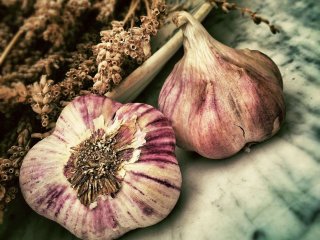 Фото: cc0collection/Фотобанк RU.123.RF