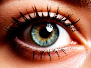 Фото: создано с помощью сервиса «Шедеврум»