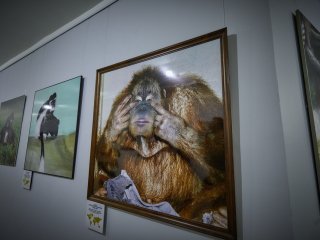 Фото: Елена Либрик / Научная Россия