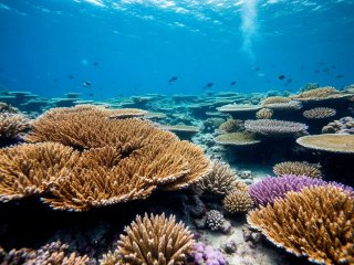 Фото: создано с помощью сервиса «Шедеврум»