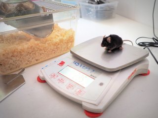 Источник фото: ФИЦ питания и биотехнологии