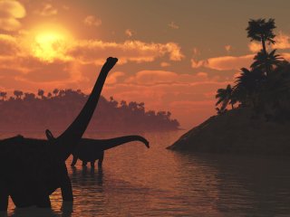 Фото: AlienCat / 123RF