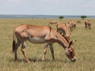 Фото: создано с помощью сервиса «Шедеврум»