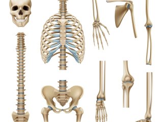 Изображение: Фотобанк Freepik