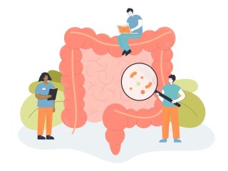 Изображение: Фотобанк Freepik