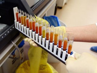 Фото: © Александр Кряжев/РИА «Новости»