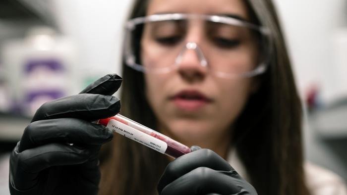 Ученые из Института Гладстона обнаружили, что в условиях низкого содержания кислорода эритроциты действуют как «губки» для глюкозы. Это объясняет, почему у людей, живущих на большой высоте, реже встречается диабет. Фото: Gladstone Institutes / Isha Jain