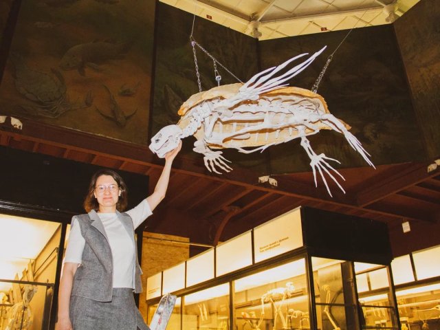 Фото Зоомузея МГУ