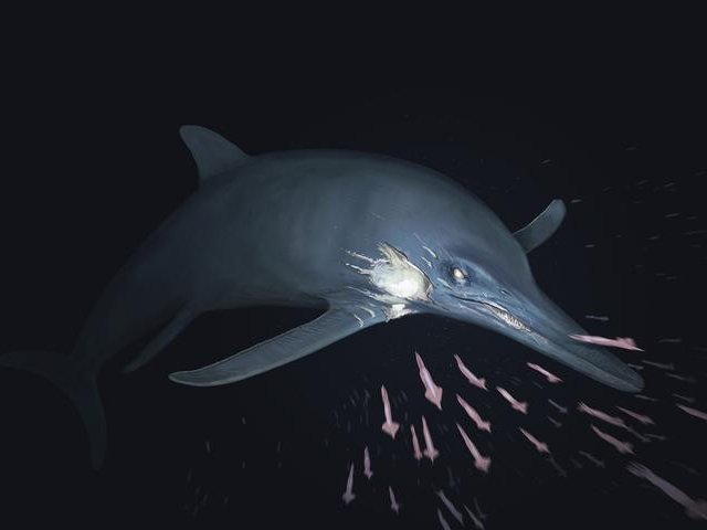 Реконструкция описанного Temnodontosaurus cf. trigonodon. Фото: Paleoartist: Joschua Knüppe / Staatliche Naturwissenschaftliche Sammlungen Bayerns