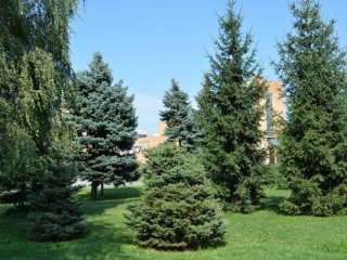 Изображение: dariakatiukha/Фотобанк ru.123rf.com
