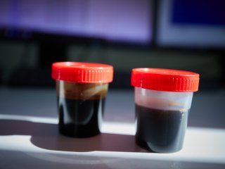 Бионефть (слева) и обычная нефть. Фото: Елена Либрик / «Научная Россия»