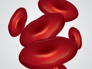 Изображение: captainvector /Фотобанк ru.123rf.com