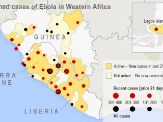 Хаос и непредсказуемость эпидемии Эболы
