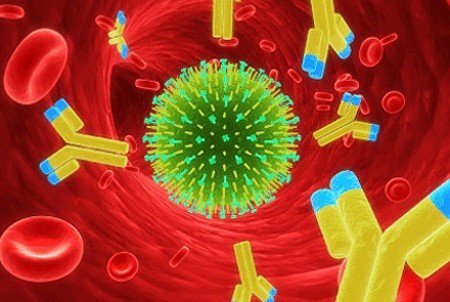 Разные вирусы гриппа распространяются по-разному
