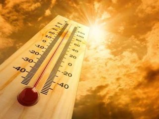 +1°C с конца XIX века — в масштабе климата Земли это много
